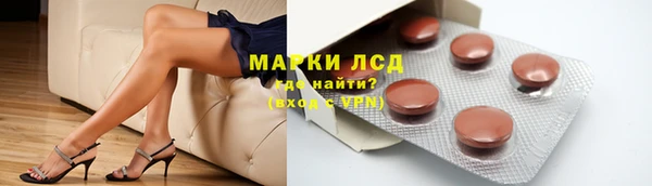 apvp Алзамай