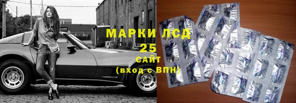 apvp Алзамай