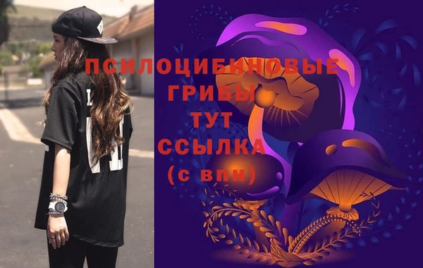 Альфа ПВП Алексеевка
