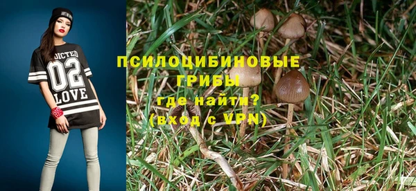 дурь Абдулино